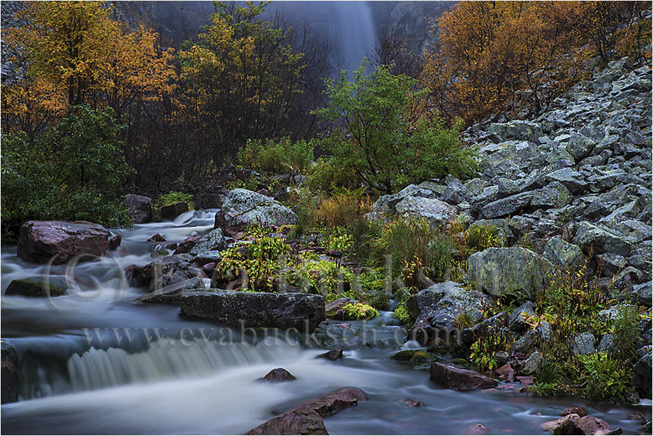 Foto av Eva Bucksch